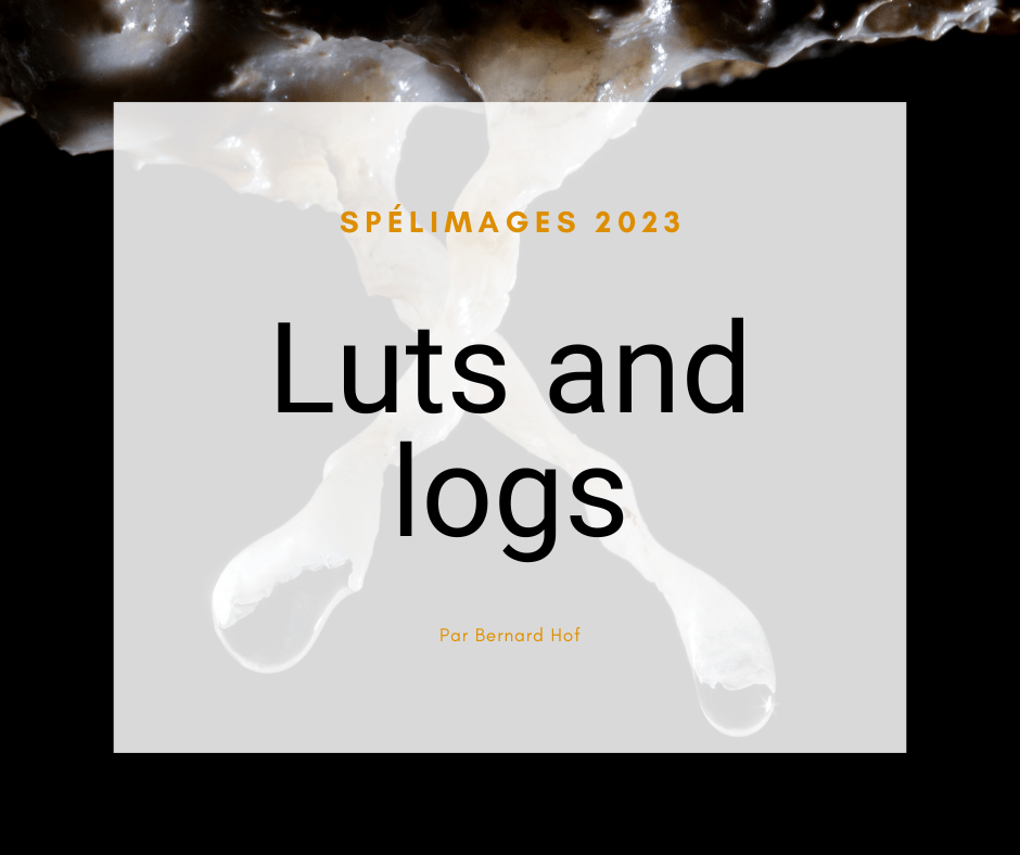 Luts and Logs